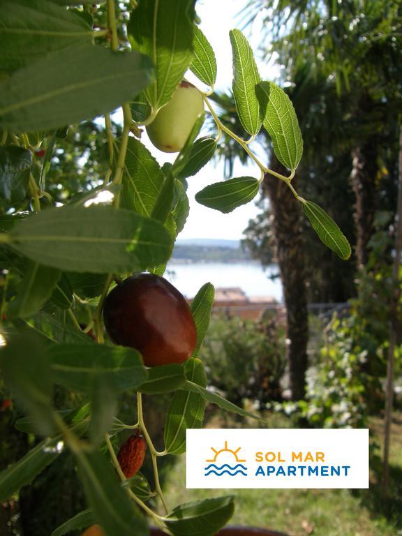 Apartment Sol Mar Portorož Dış mekan fotoğraf