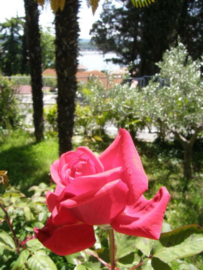 Apartment Sol Mar Portorož Dış mekan fotoğraf